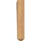 Ekena Millwork Funston Craftsman Smooth Bracket, Western Red Cedar, 3 1/2"W x 20"D x 20"H BKT04X20X20FST04SWR - alternate 3